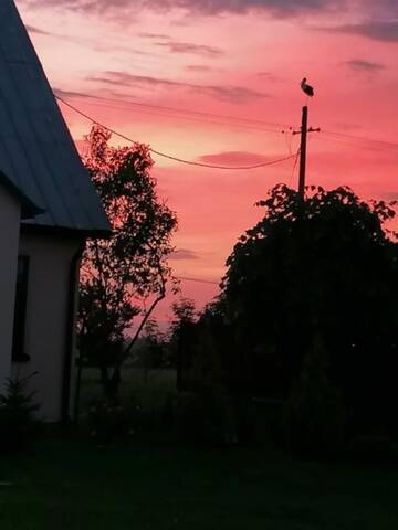 Фото номера Дом с 3 спальнями Дома для отпуска Pokoje Goscinne Zaruby Sejny г. Сейны 7